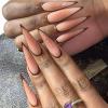 Nq204brown