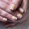 NAILX06-2