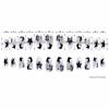 imageBABALAL Almond Press on Nails Medium Fake Nails White French Glue on Nails Black Star Rhinestones Acrylic Nails 24Pcs Stiletto False Nails for Women and GirlsFNf404