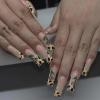 FNO15cheetah