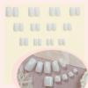 image:imageBABALAL 48Pcs Hand amp Toe Press On Nails Set Medium Almond Black French Tip Polka Dot Design Fake Nails Short Square False Toenails Reusable Glossy Kit for Women and GirlsANht114