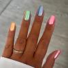 FNr22rainbow