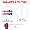 image:imageBABALAL Press On Nails Long Square Fake Nails Pink Brown with 3D Star Rhinestone amp Polka Dot Stripe Design Y2K Retro Cute Glue On Nails for Women and Girls 24PcsFNEB004
